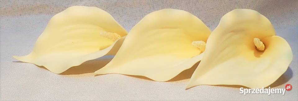 Kalia sztuczna wyrobowa gumowana do bukietów 2 wielokolorowy Siewierz sprzedam