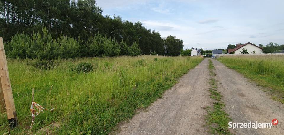 Działka lesie 695m2 29m Siedlec sprzedam