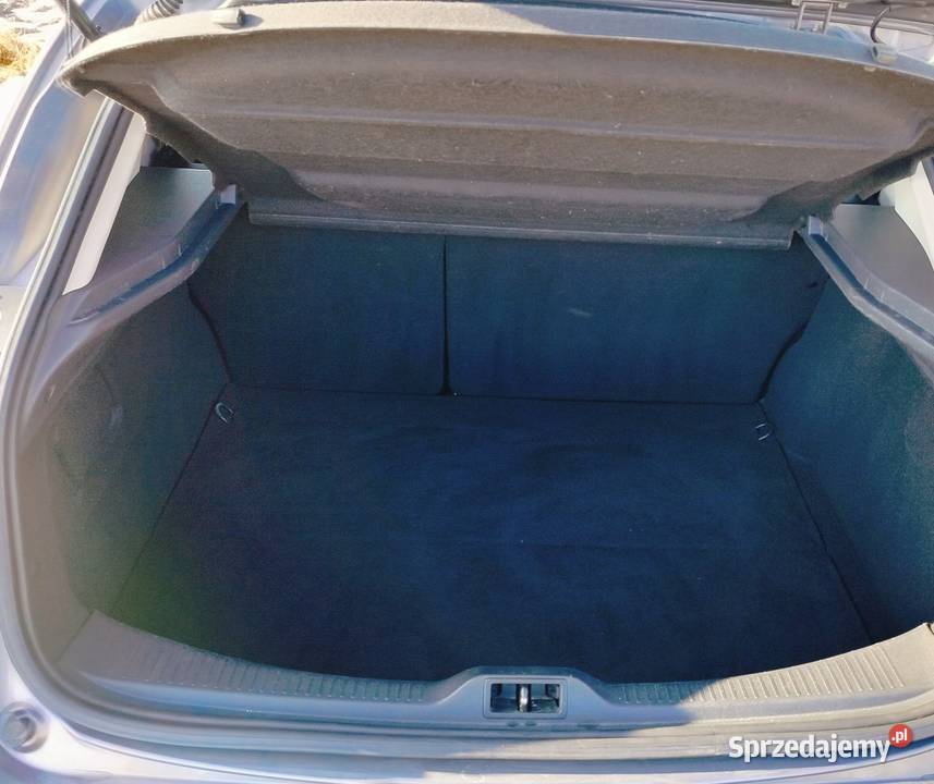 Renault Megane 16 benzyna Lgota Wielka