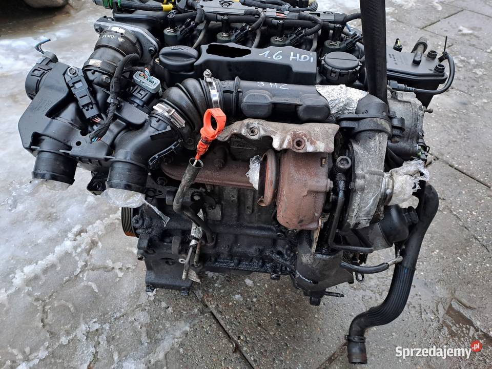 Citroen Peugeot 16 HDi 109 silnik kompletny kod Jastrzębie-Zdrój