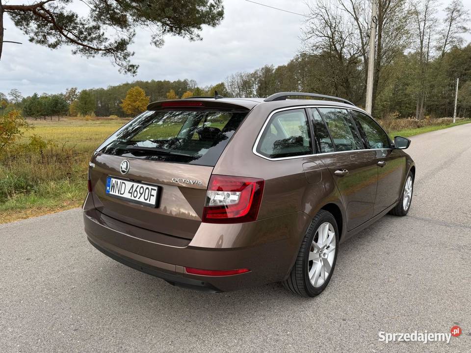 Skoda Octavia super stan niski przebieg mazowieckie Nowy Dwór Mazowiecki
