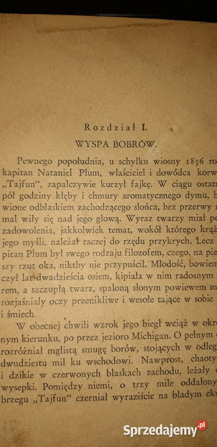 JOCURWOŚRÓD MORMONÓW 1929opr pierwodruk No01691 Iwno