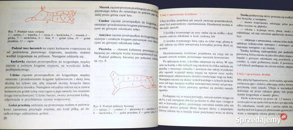 Domowe przetwory z mięsa Władysław Poszepczyński Chełm