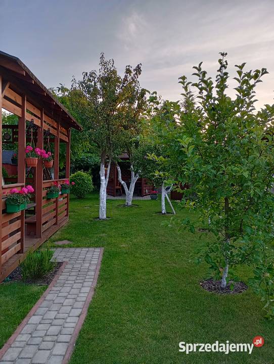 Działka ROD Stogi Gdańsk