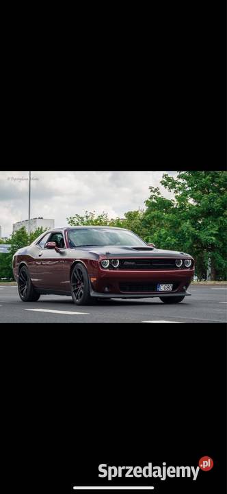 Dodge challenger kujawsko-pomorskie