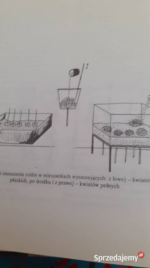 Układanki roślinne Szczecin