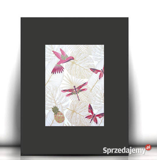 mały obrazek boho A4 plakat z kolibrem ważka Białystok sprzedam