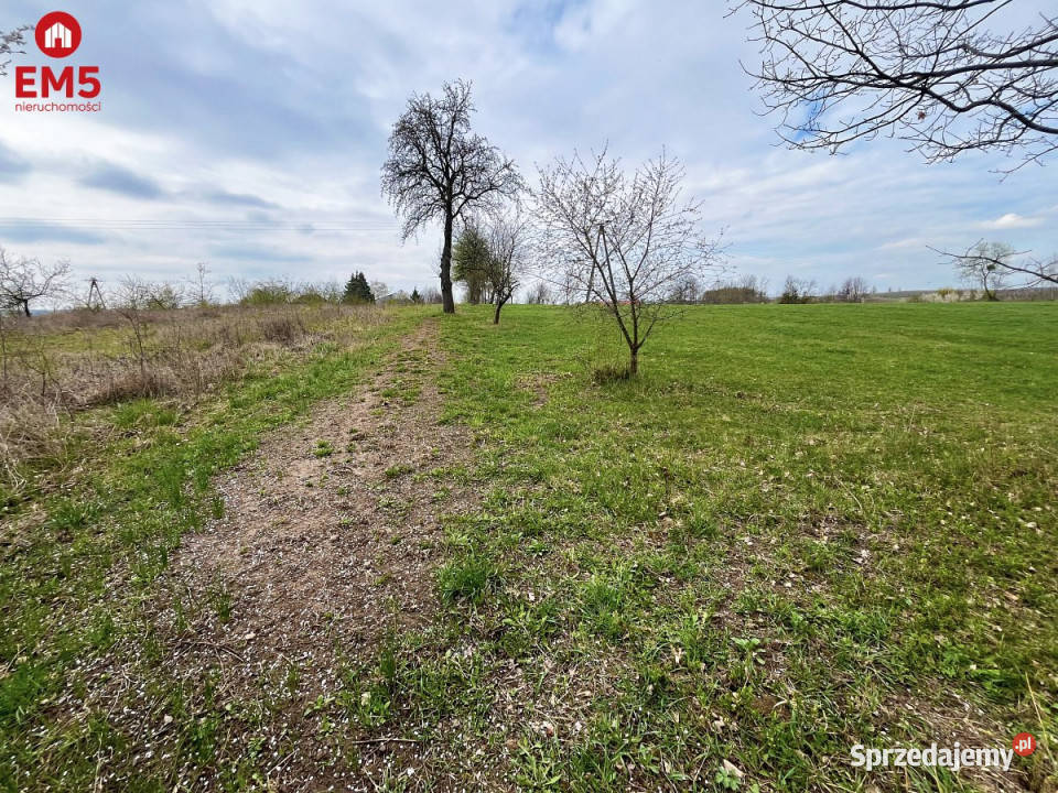 Sprzedaż działki Nowe Aleksandrowo 13000 metrów sprzedam