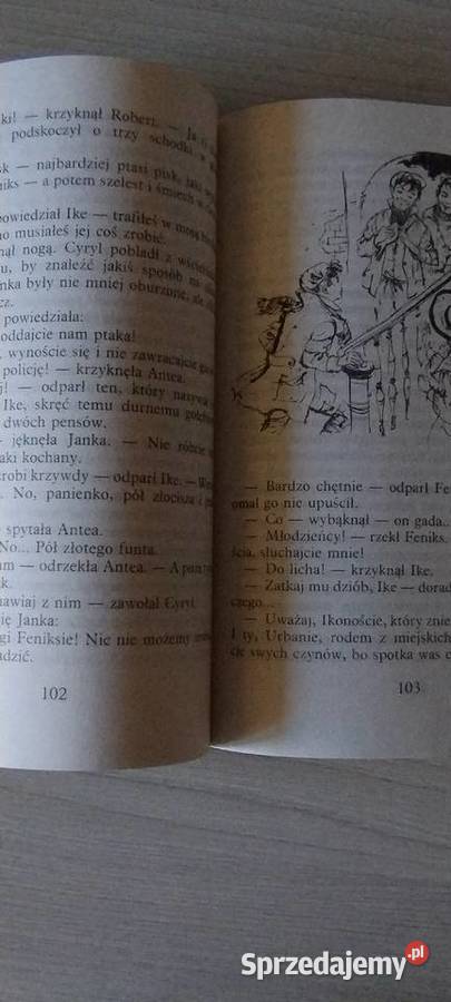 Feniks i dywan Edith Nesbit Lublin sprzedam