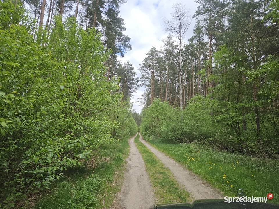Działka inwestycyjna 3012 met Wrocławia Ostrowina sprzedam