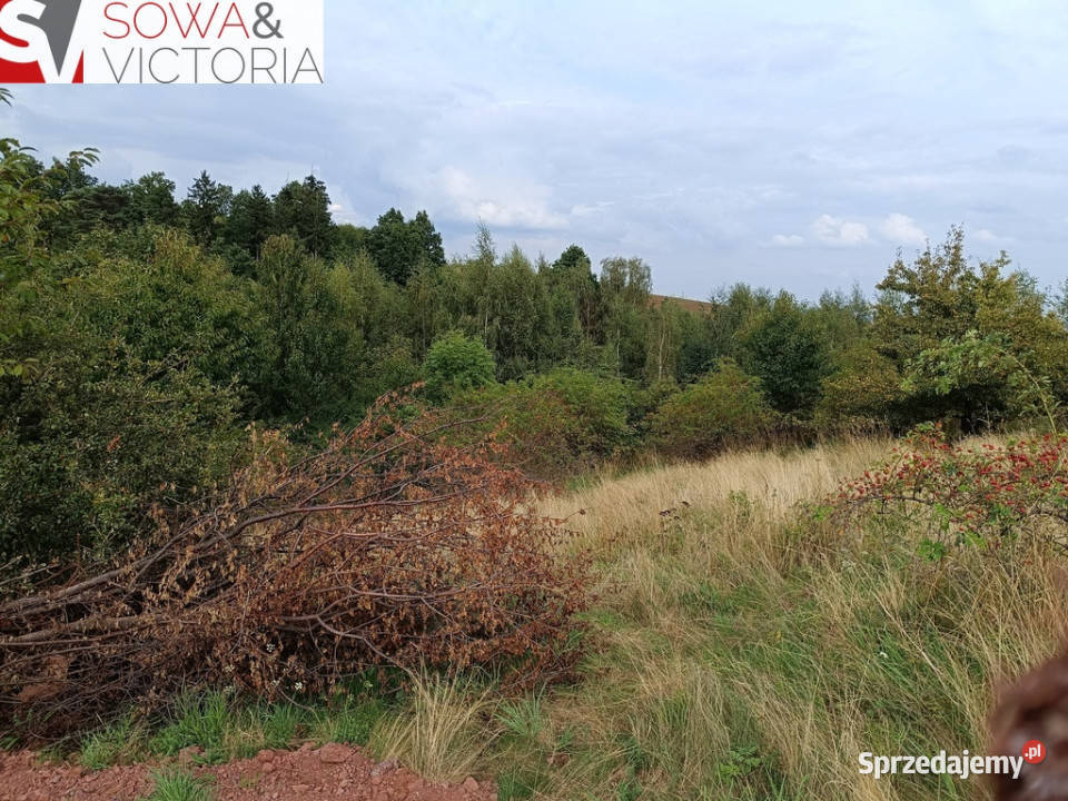 Działki w pobliżu Szczawna Zdroju Struga sprzedam