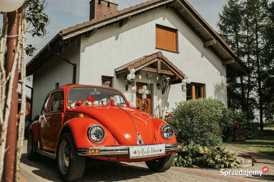 Auto do ślubuwesele CZERWONY GARBUS sesje Wynajem pojazdów Bydgoszcz