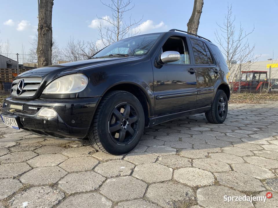 Czarny Menel idealny w teren mazowieckie Warszawa