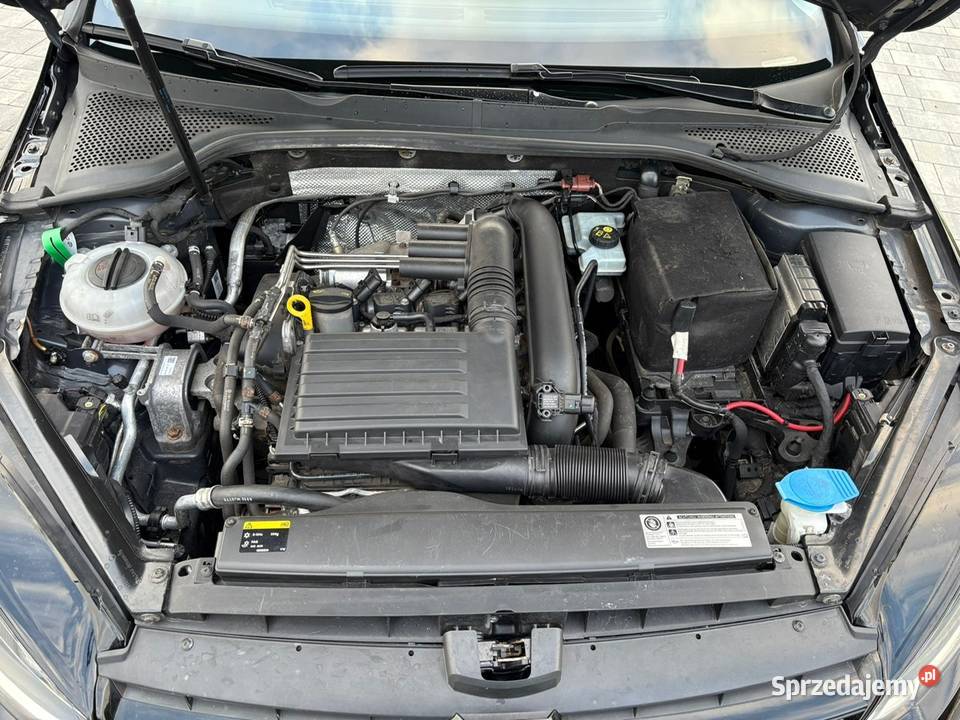 Volkswagen Golf VII Xenon benzyna Świecie
