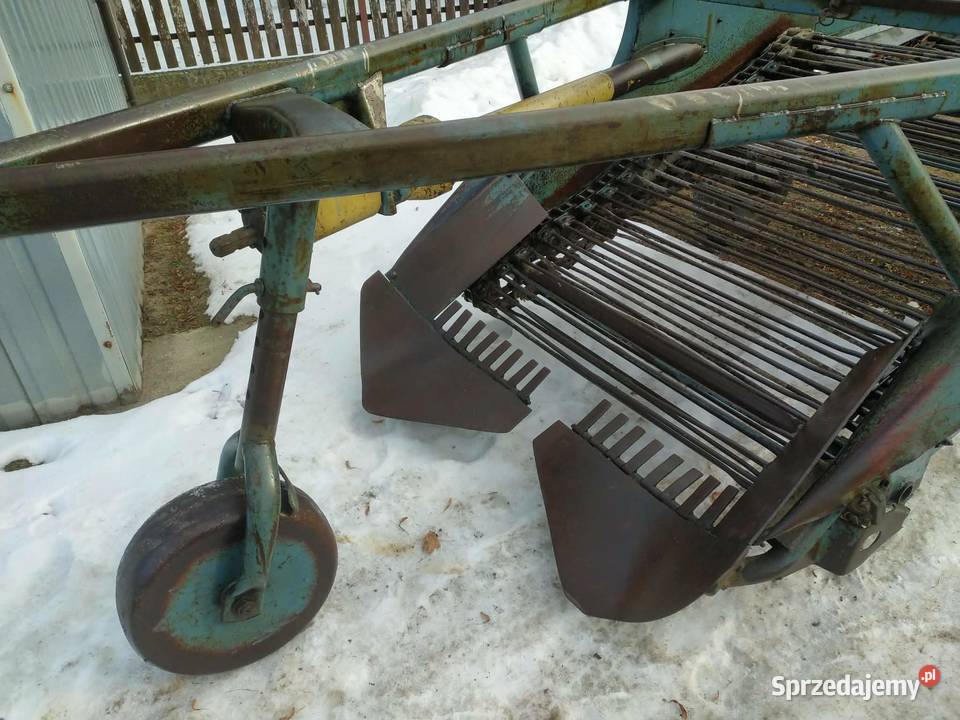 Kopaczka do ziemniaków Elewatorowa 2rzędowa małopolskie Dąbrowa Tarnowska