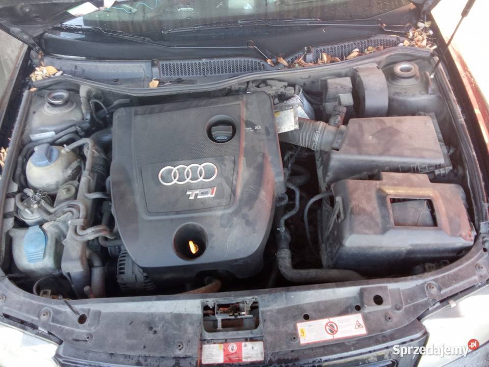 Audi a3 8l 19tdi 6 biegów 2001 130KM Nowy Sącz