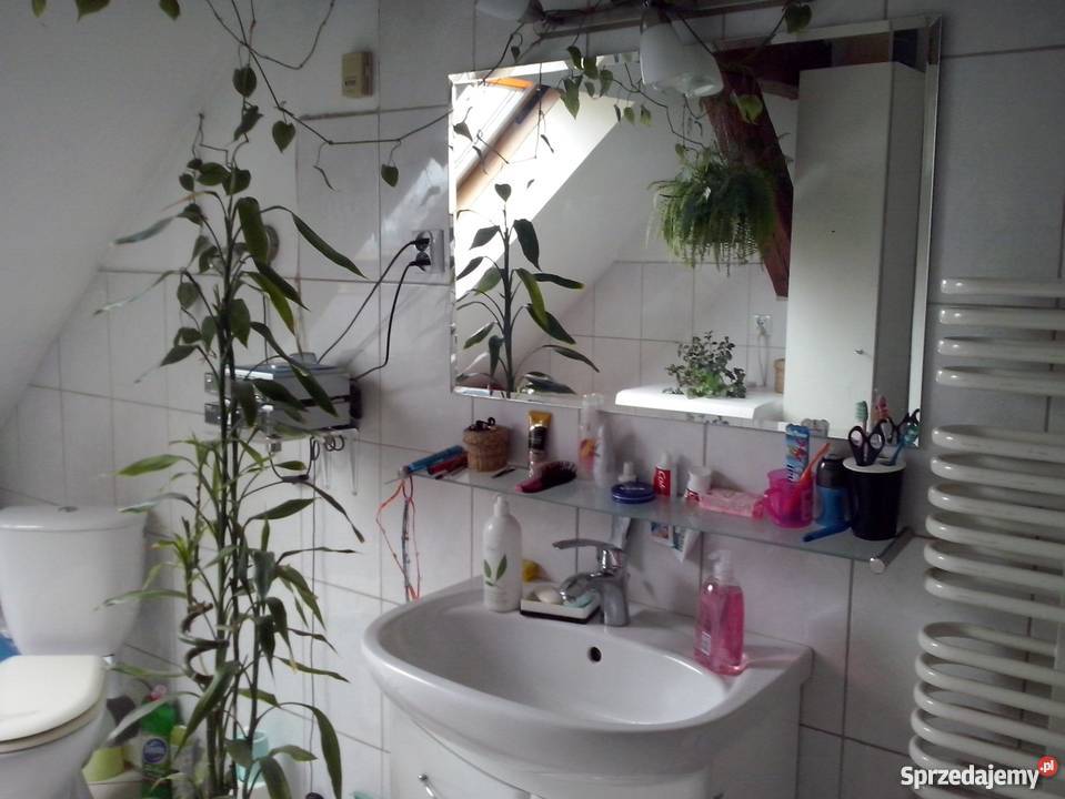 Dębno Polskie sprzedam mieszkanie na poddaszu wielkopolskie Dębno Polskie