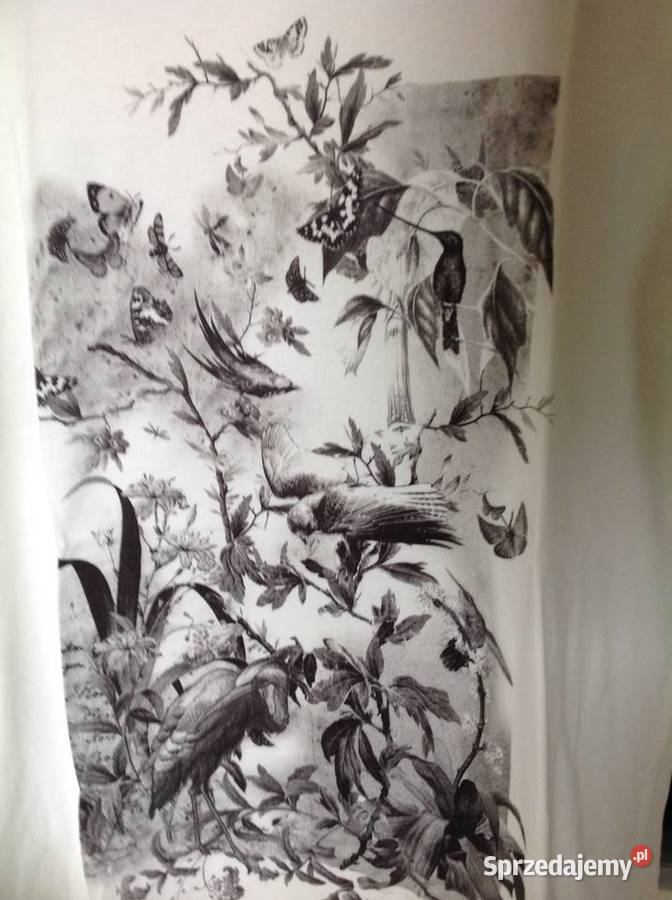 Tshiry Koszulka Damska MARC CAIN SM M j Nowa lubuskie Nowa Sól
