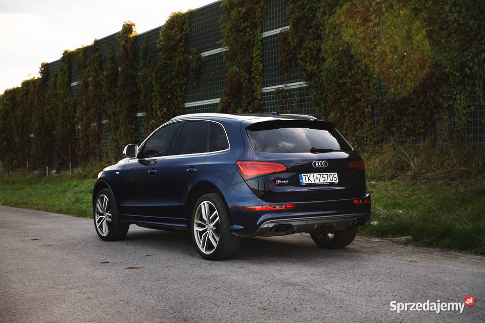 Audi SQ5 30 V6T Premium Plus SQ5 Piekoszów