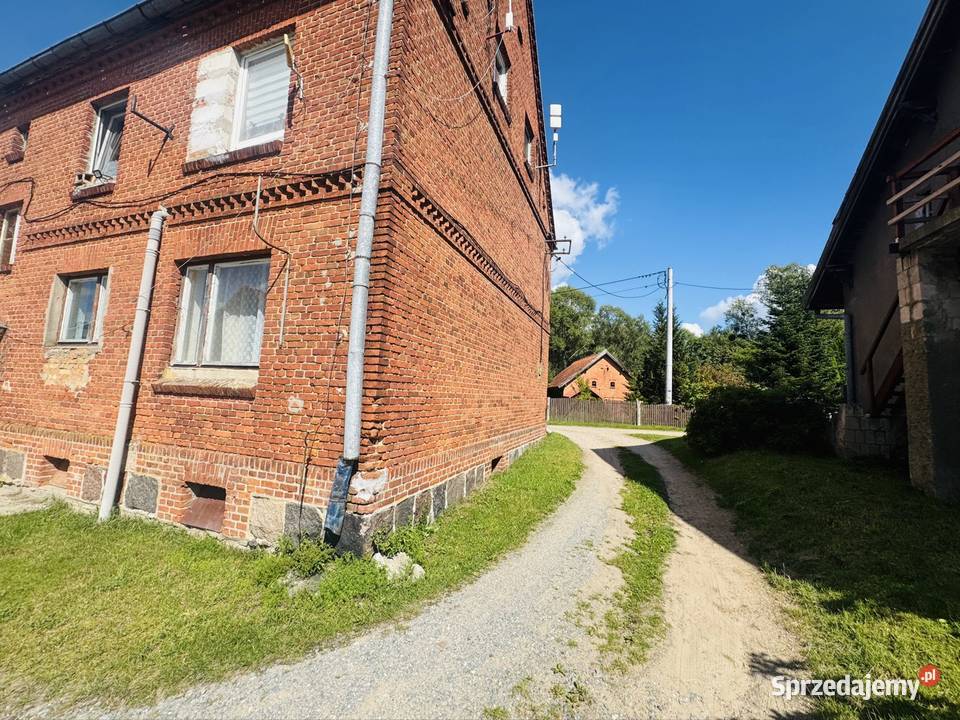 Dom działka mieszkanie jezioro las Bądze
