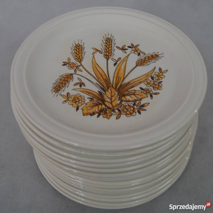 Rustykalny talerz obiadowy płytki Chojnice