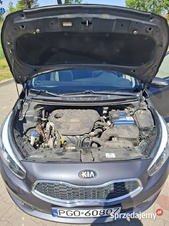 KIA CEED 16GDI 135 bogate wyposażenie Kościan