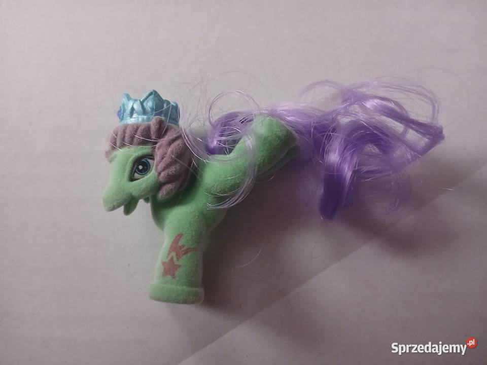 Kucyk Filly Royale Książe Glory Chrzanów