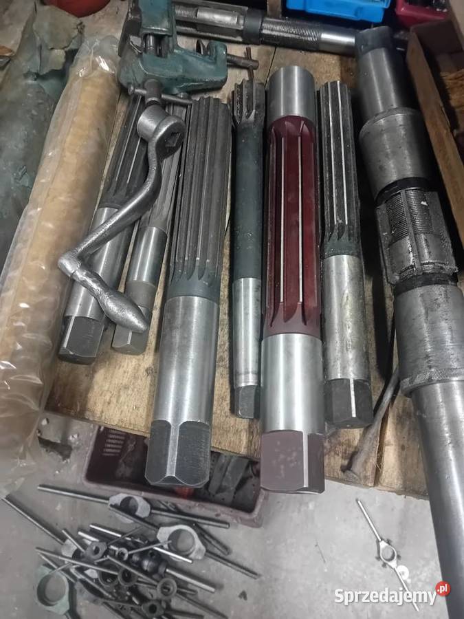 Rozwiertaki wielkopolskie Białobłoty