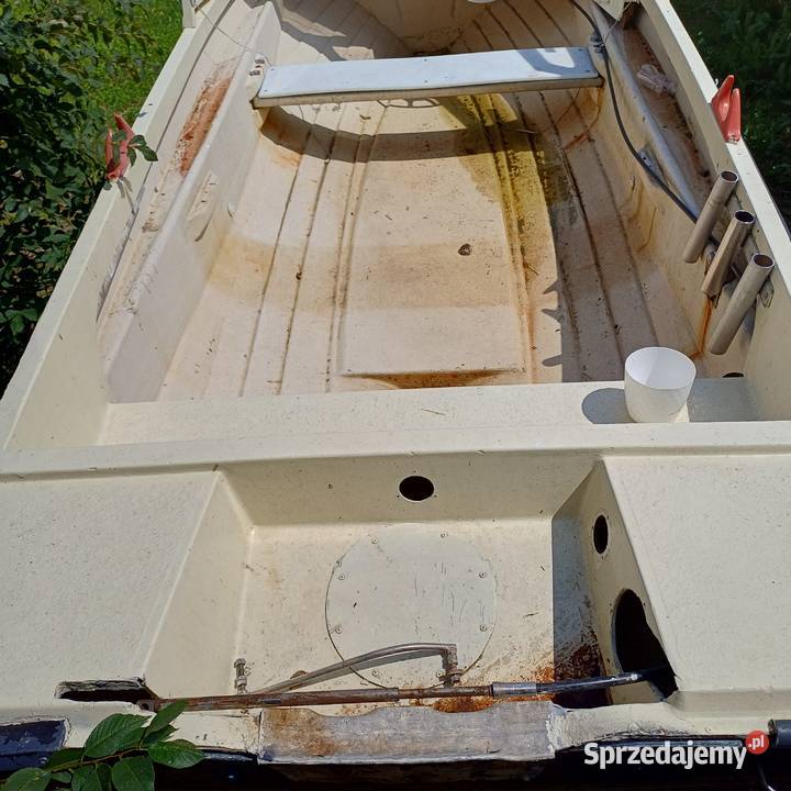 Sprzedam Buk Pomorski