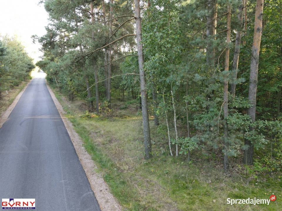 Grunt 29700m2 Mąkolice