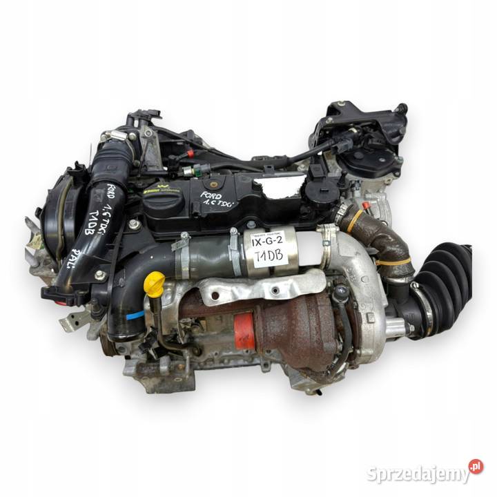 SILNIK T1DB Ford Focus III C C 16 TDCI 115 Chełm