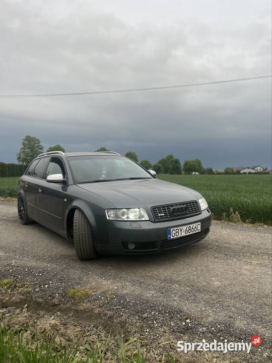 Audi a4b6 reflektory ksenonowe kujawsko-pomorskie Topólka