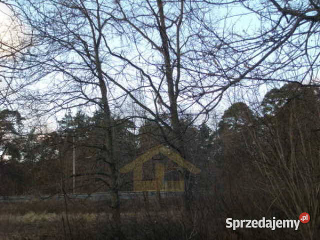 Sprzedam działka Otwock 100m