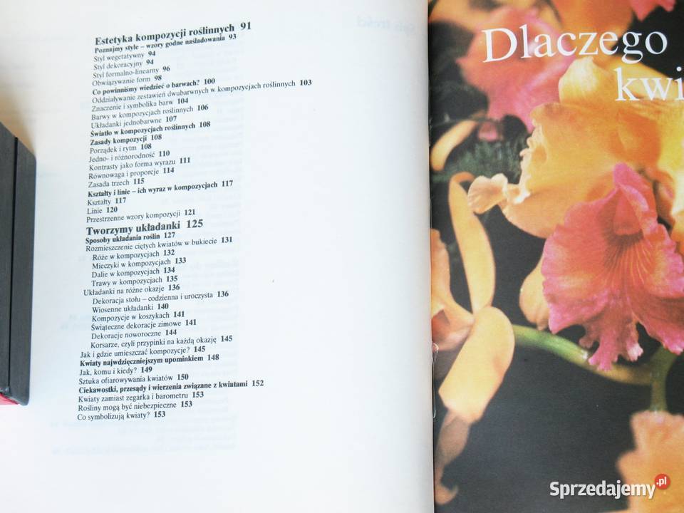 Układanki roślinne Joanna Szendel Kraków