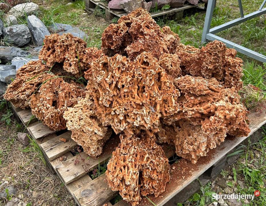 CZERWONY WAPIEŃ Kamień Skała do Akwarium Malawi Garwolin