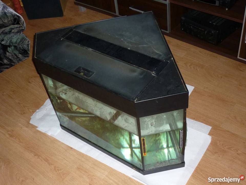 Akwarium narożne 100L pokrywa oryginalna Wilczkowice Średnie sprzedam