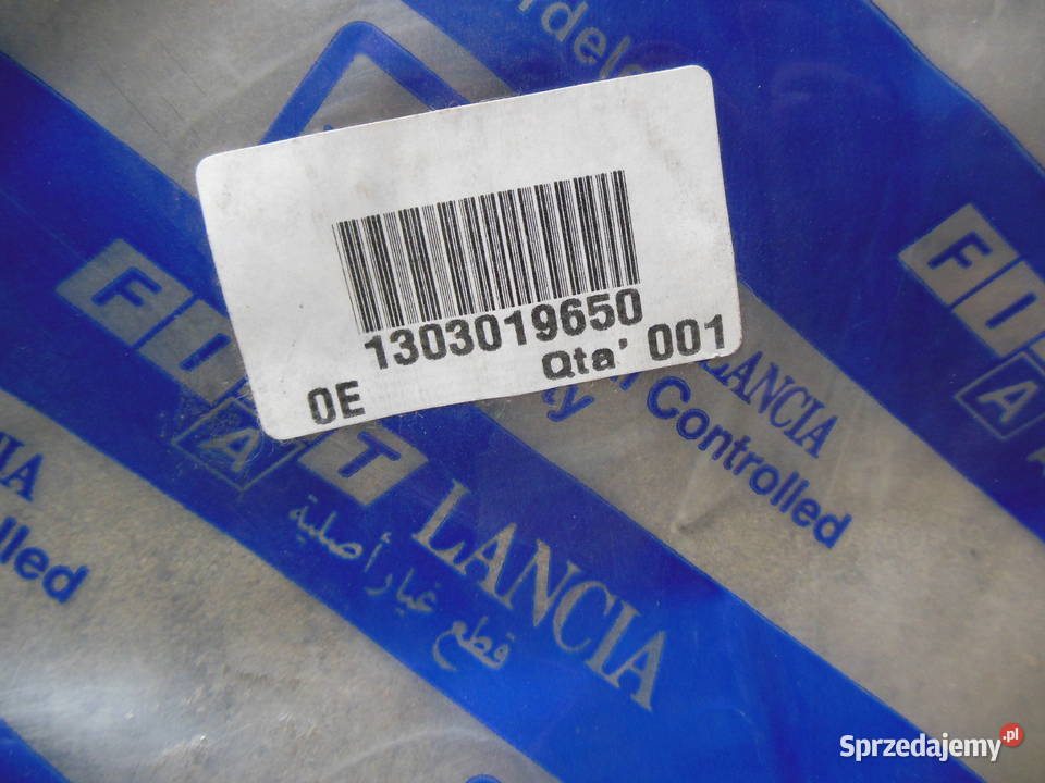 Panel Drzwi Przednich Fiat Ducato 1303019650 Kozy