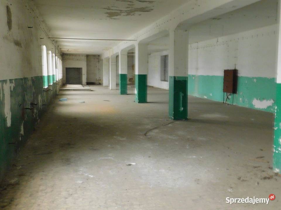 Syndyk sprzeda Radom Garbarska 27 dz 627 mazowieckie