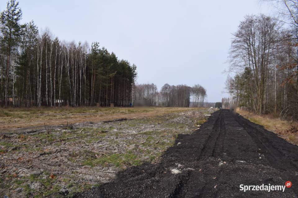 Działki 10a w otoczeniu lasu Widełka Głogów Małopolski