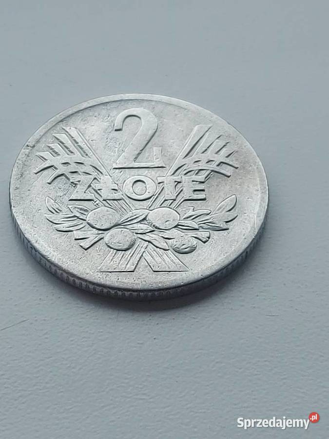 2 tak zwane jagodzianki 1959 Jelenia Góra sprzedam