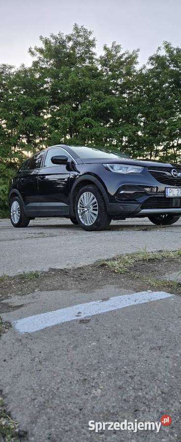 Opel Grandland X poduszka powietrzna Grandland X Leszno