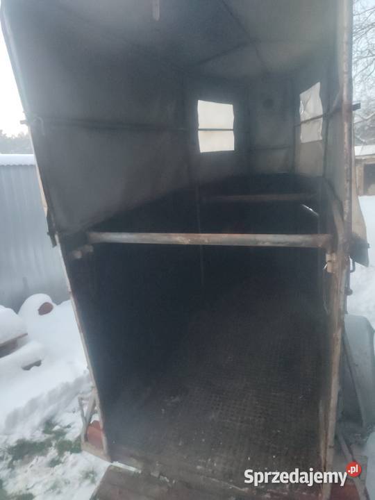 Przyczepa na konie WERTMANN Jaksonek