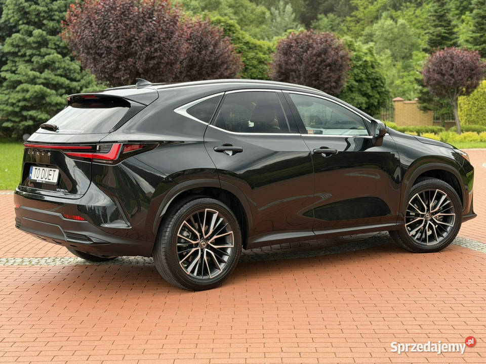 Lexus NX 350h Hybrid AWD Salon na Gwarancji 243KM świętokrzyskie Widełki