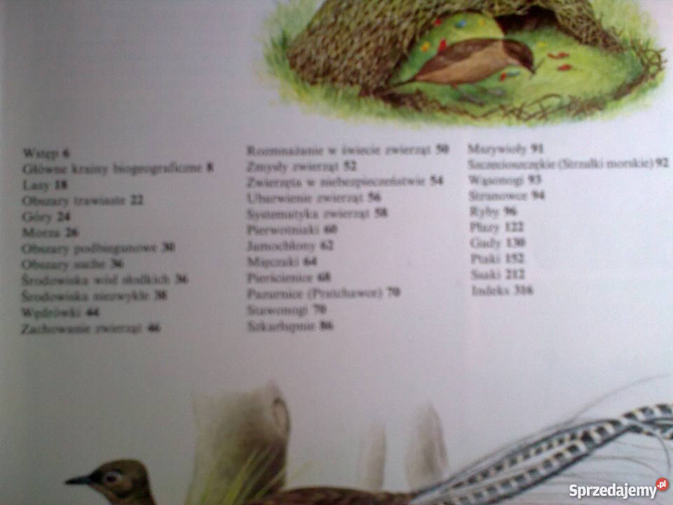 Ilustrowana encyklopedia zwierząt C Kilpatrick i encyklopedie, słowniki, leksykony Głuchołazy sprzedam