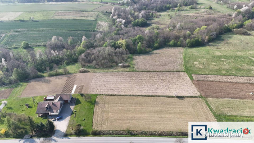 Grunt 45000m2 Kopytowa Sprzedaż sprzedam