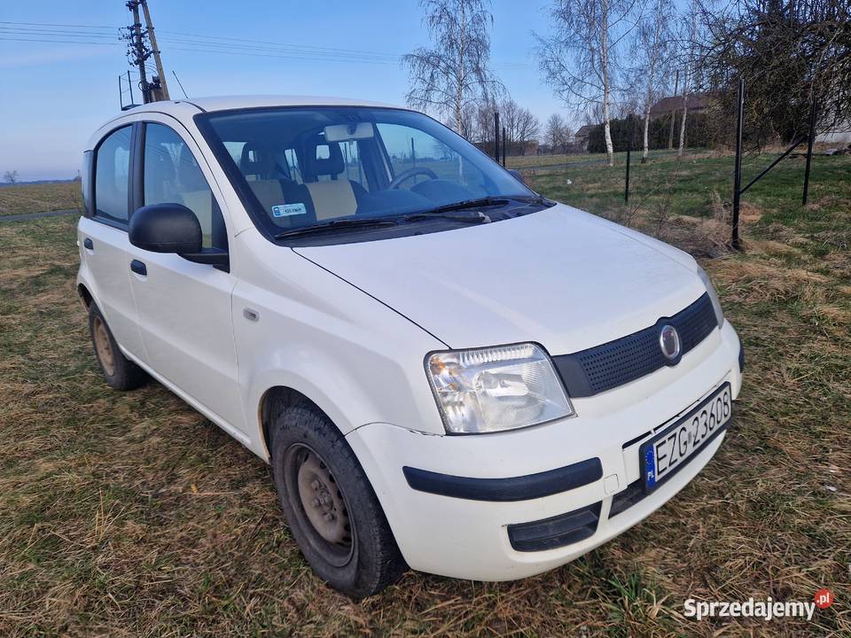 Fiat panda 2011 poj13 dissel multijet z klimą i Gniezno sprzedam