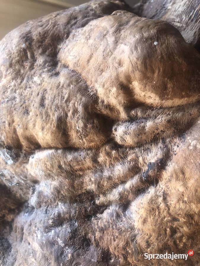 Sztuka użytkowa drewno Pozostałe Ciepielów