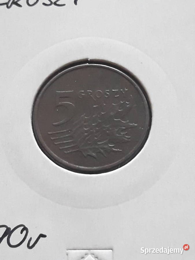 5 Groszy 1990 r UNCpatyna wielkopolskie Konin