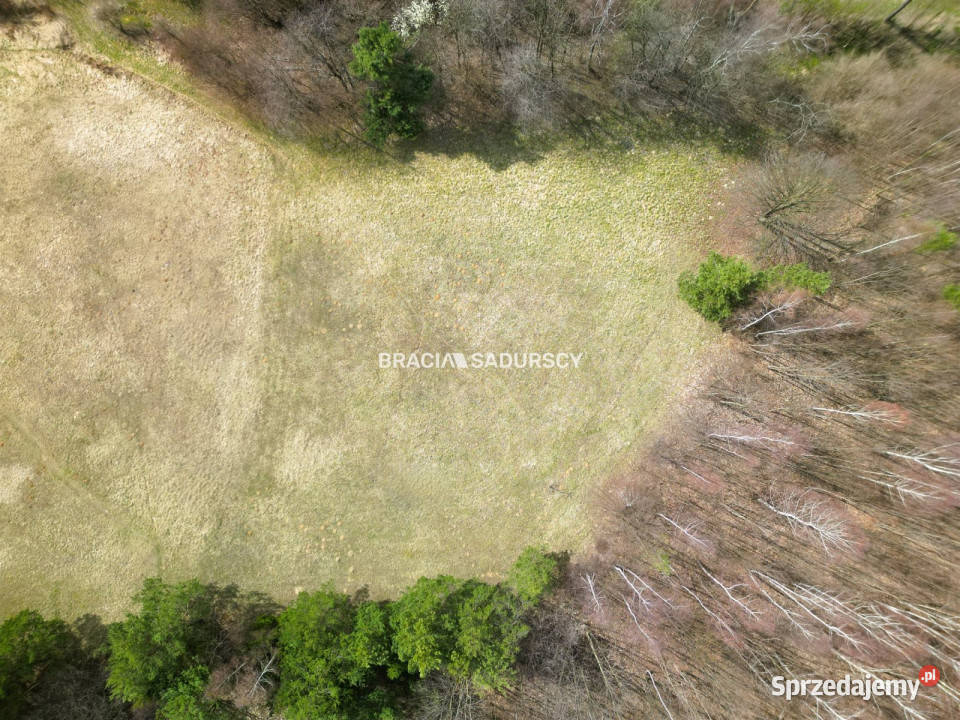 Grunt Jerzmanowice Zachodnia 4400m2 Sprzedaż