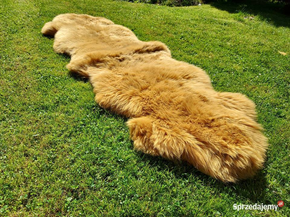 Skóra Owcza Dywan Narzuta Kolor CAMEL Skóra małopolskie Szaflary